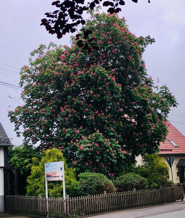 Gemuetliche Fewo Naehe Hachenburg, Bad Marienberg Langenbach bei Kirburg المظهر الخارجي الصورة